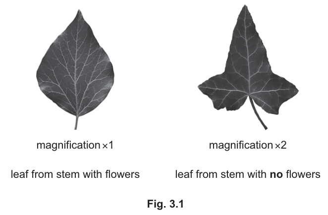 Fig. 3.1