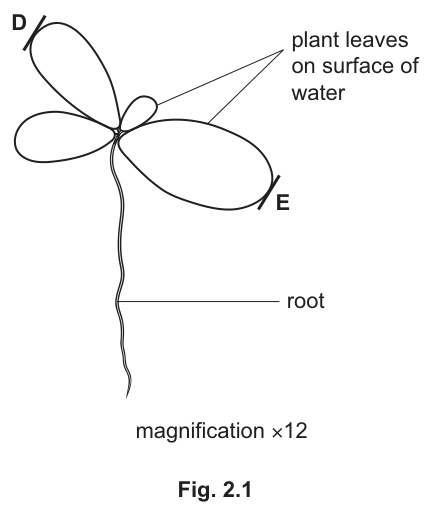 Fig. 2.1