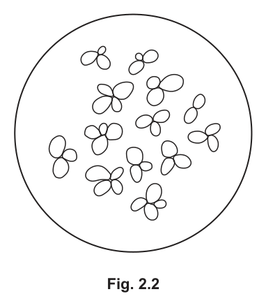 Fig. 2.2