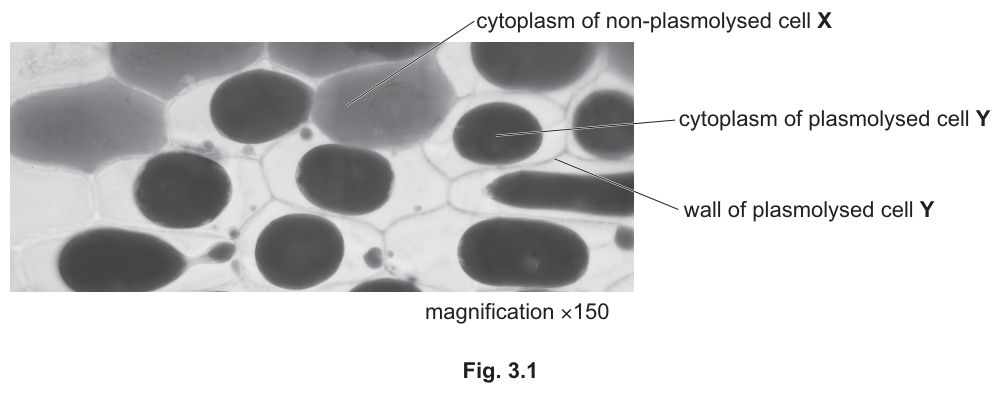 Fig. 3.1