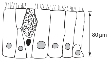 Fig. 1.1