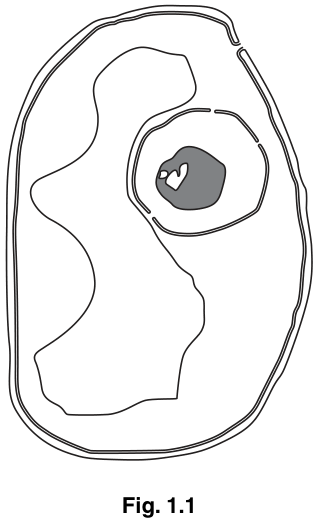 Fig. 1.1