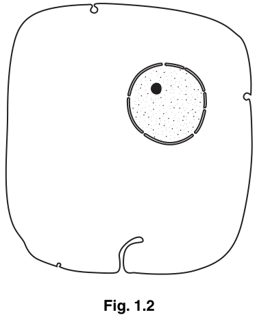 Fig. 1.2