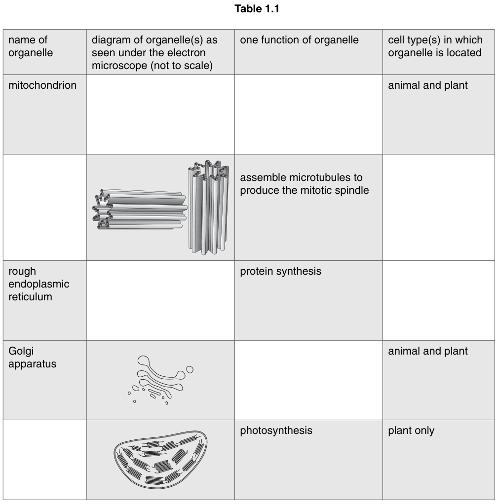 Table 1.1