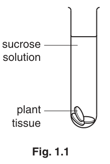Fig. 1.1