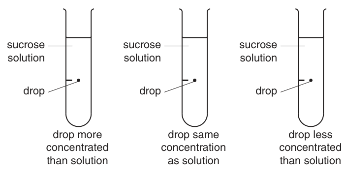 Fig. 1.3