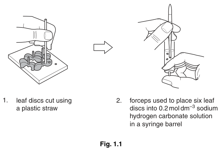 Fig. 1.1