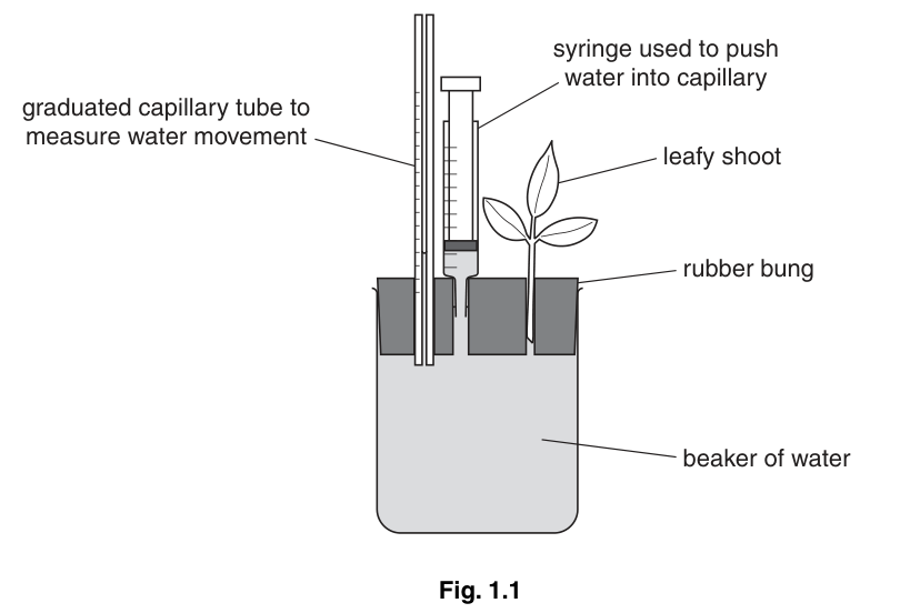 Fig. 1.1