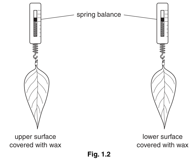 Fig. 1.2