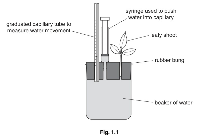 Fig. 1.1