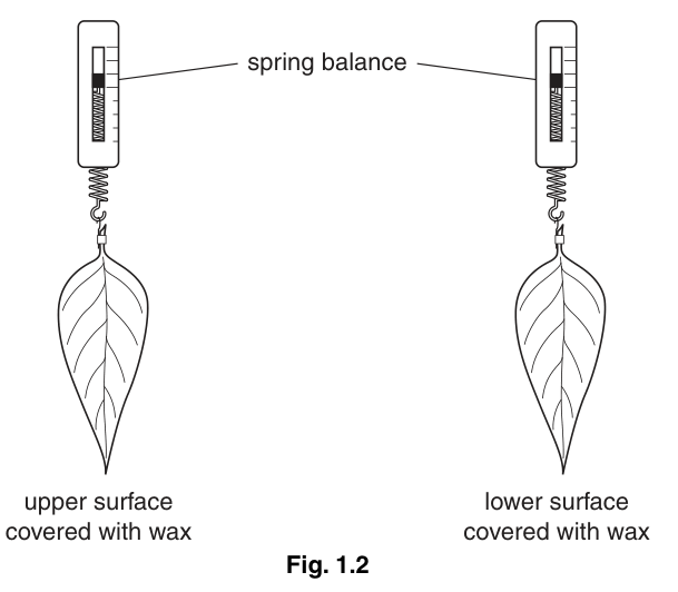 Fig. 1.2