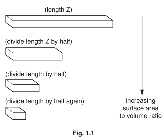 Fig. 1.1