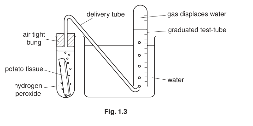 Fig. 1.3