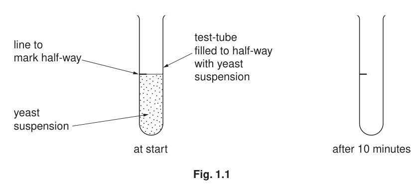 Fig. 1.1