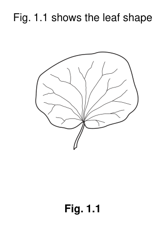 Fig. 1.1