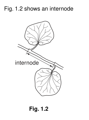 Fig. 1.2