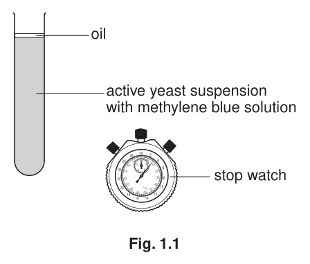 Fig. 1.1