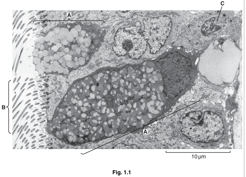 Fig. 1.1