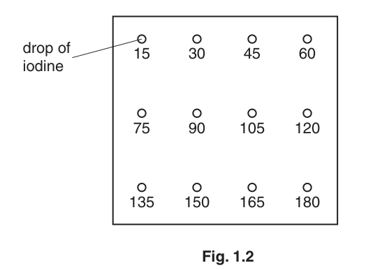 Fig. 1.2