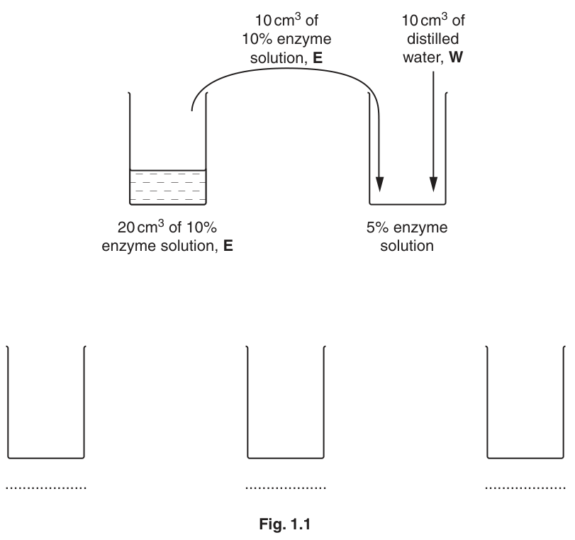 Fig. 1.1
