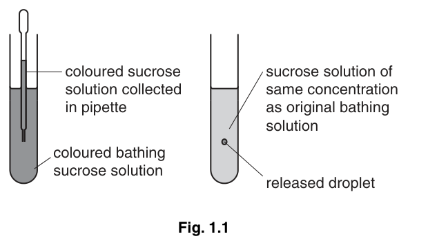 Fig. 1.1