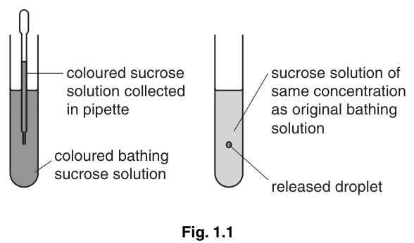 Fig. 1.1