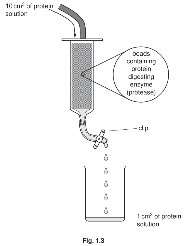 Fig. 1.3