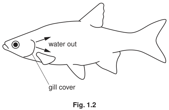 Fig. 1.2