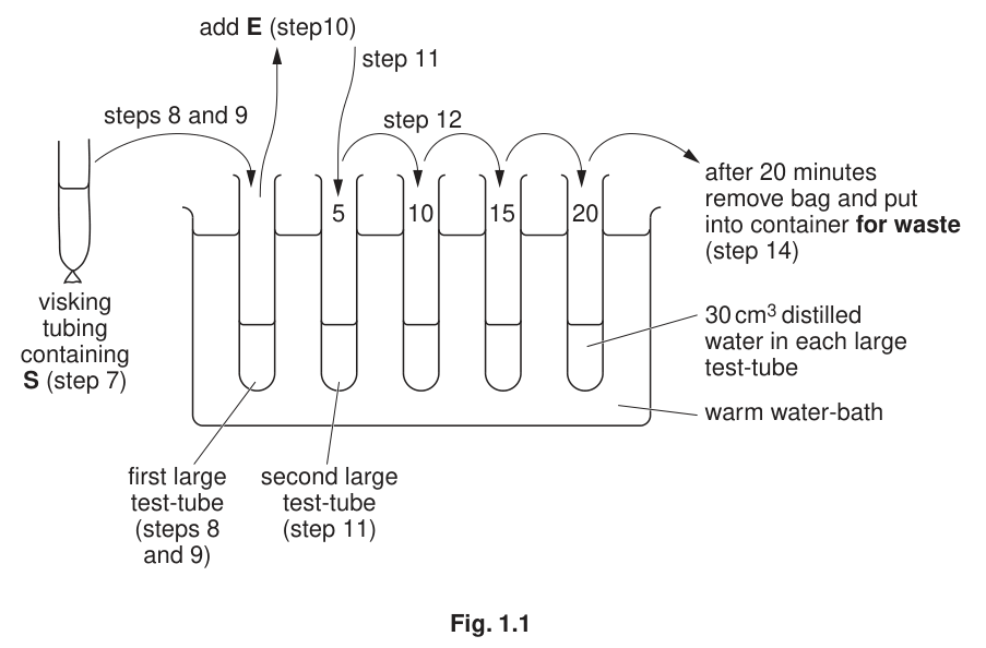 Fig. 1.1