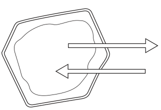 Cell A