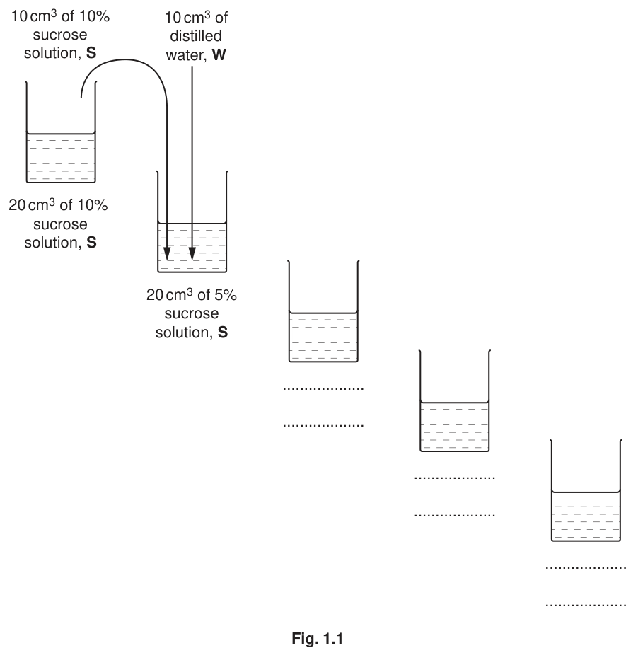 Fig. 1.1