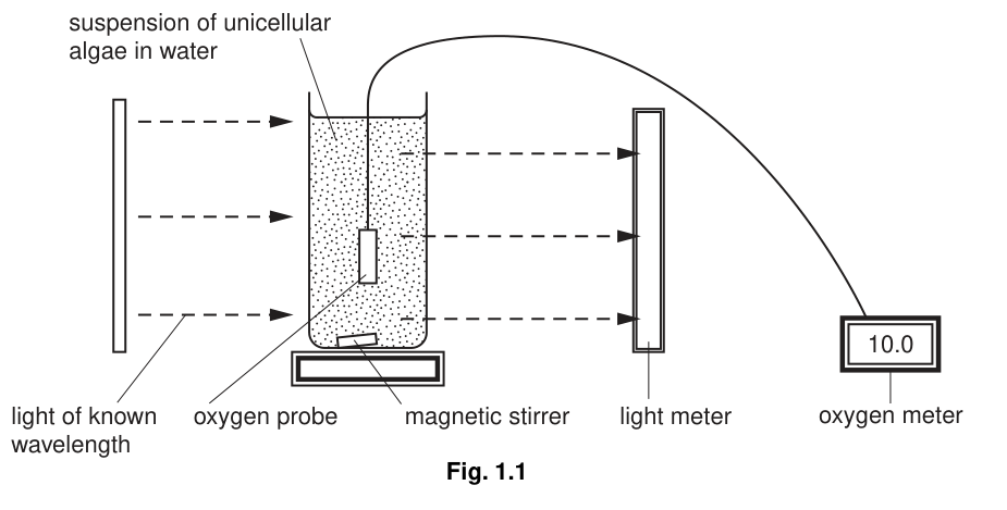 Fig. 1.1