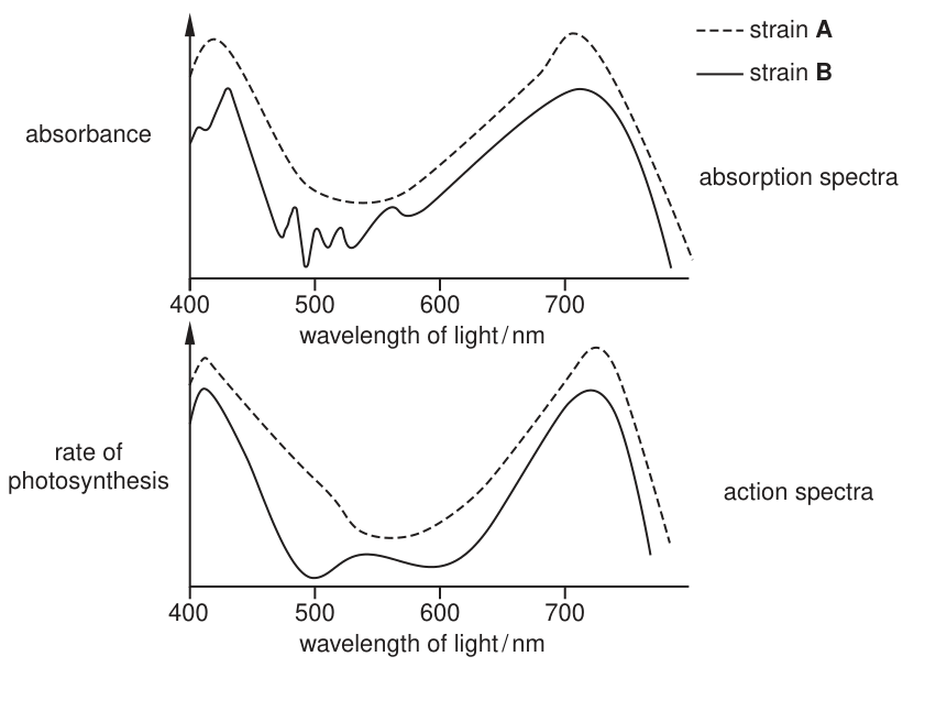 Fig. 1.2