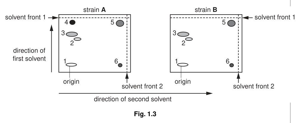 Fig. 1.3