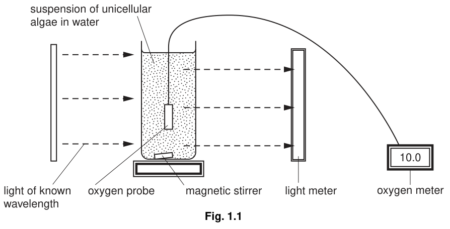 Fig. 1.1