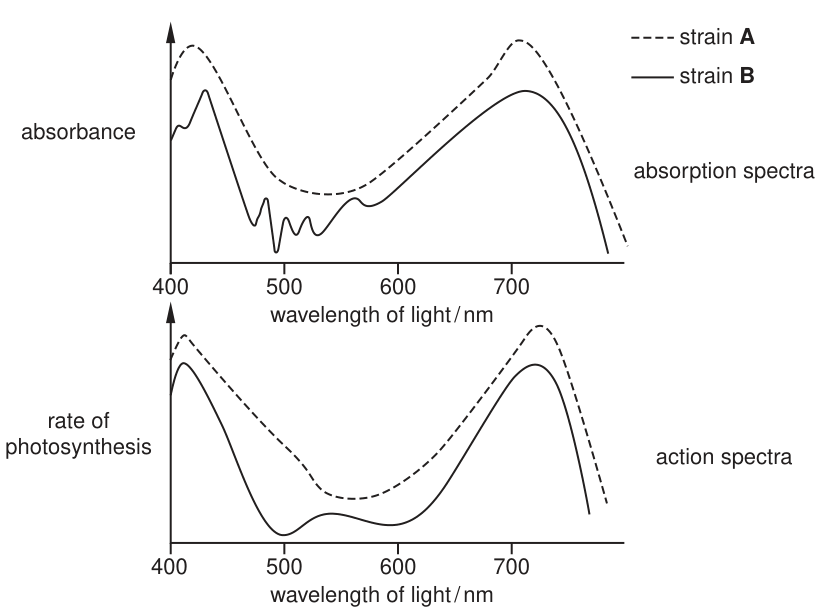 Fig. 1.2
