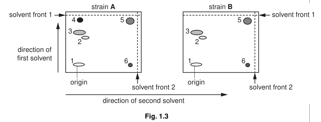 Fig. 1.3