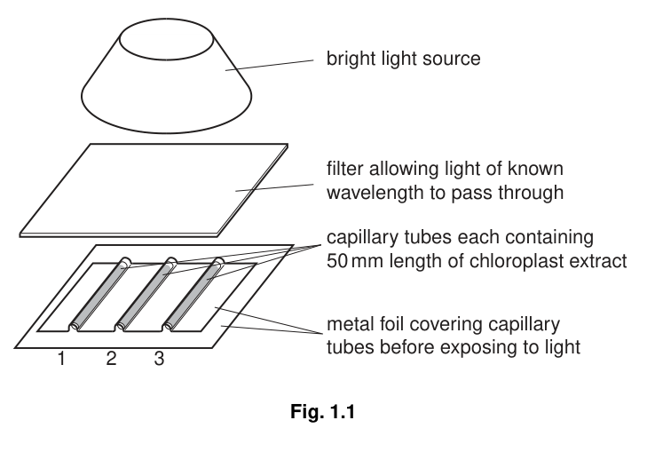 Fig. 1.1