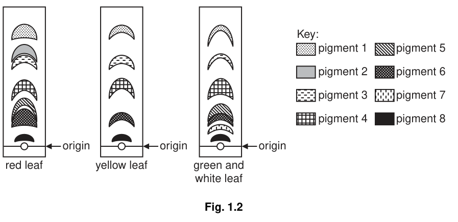 Fig. 1.2