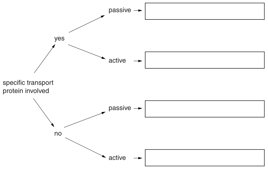 Fig. 1.1