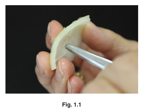 Fig. 1.1