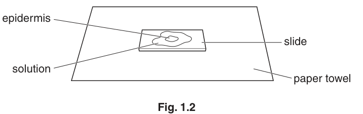 Fig. 1.2