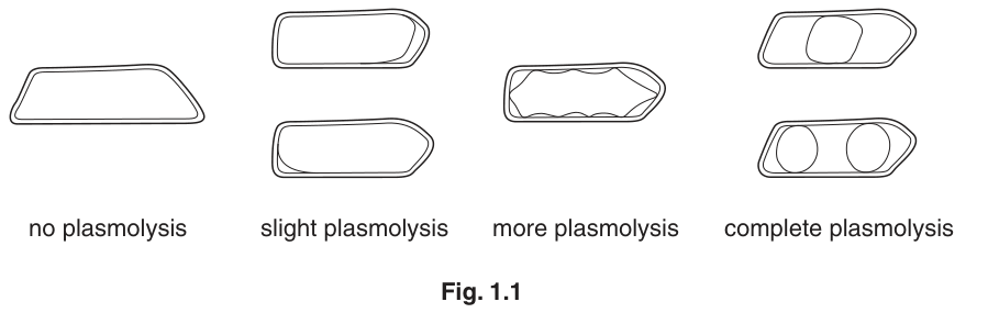 Fig. 1.1