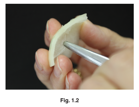 Fig. 1.2