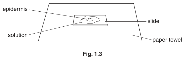 Fig. 1.3