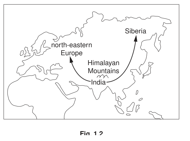 Fig. 1.2