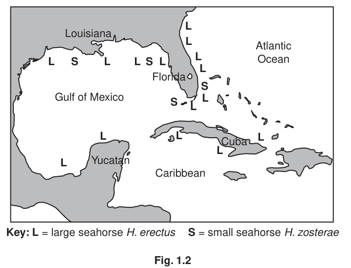 Fig. 1.2