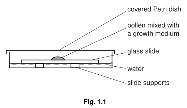Fig. 1.1
