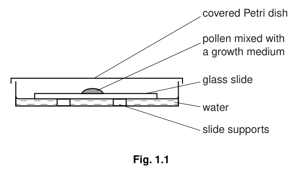 Fig. 1.1