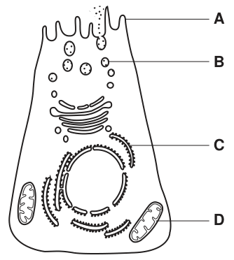 Fig. 1.1
